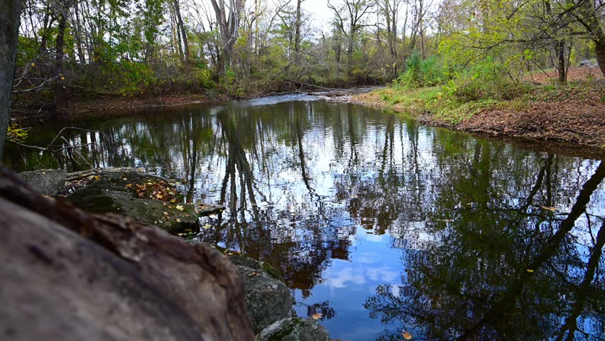 Edinburg, Virginia, USA, a tranquil river or stream scene during autumn. The water is calm, creating a clear reflection of the surrounding trees and overcast sky. The banks are lined with rocks and fallen autumn leaves in shades of orange and brown. 