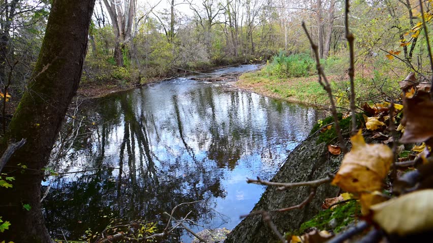 Edinburg, Virginia, USA, a tranquil river or stream scene during autumn. The water is calm, creating a clear reflection of the surrounding trees and overcast sky. The banks are lined with rocks and fallen autumn leaves in shades of orange and brown. 