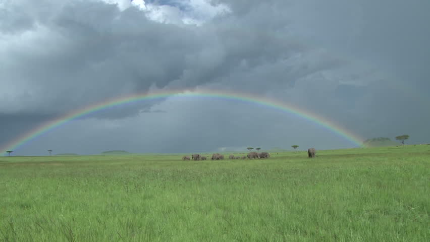 complete arc of a rainbow in the park with elephants