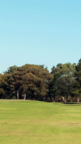 Golf bag with golf club at golf course 4k