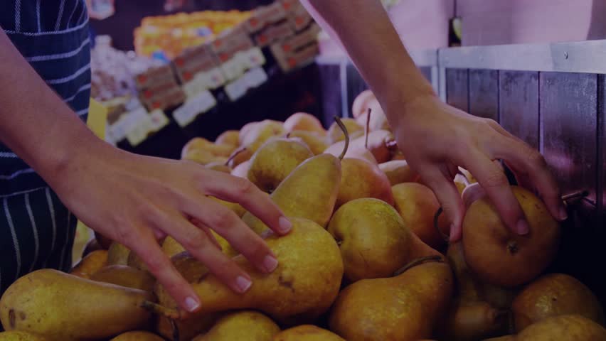 Two pairs of hands entering frame, pressing and lifting pears while arranging for selection. Produce, fruit, grocery, display, market, candid, closeup