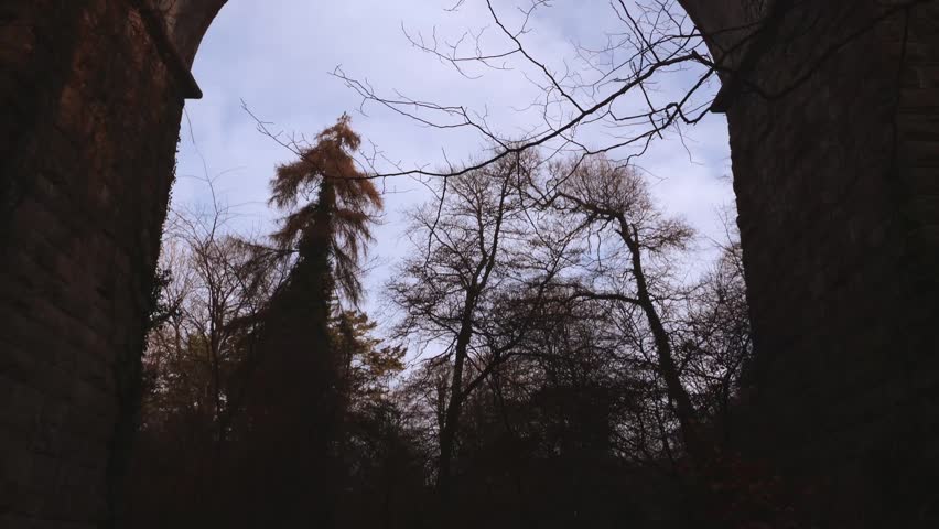Moody forest park scenery captured beneath a massive weathered stone archway of an old bridge showing skeletal branches against a soft cloudy sky during a calm and tranquil day