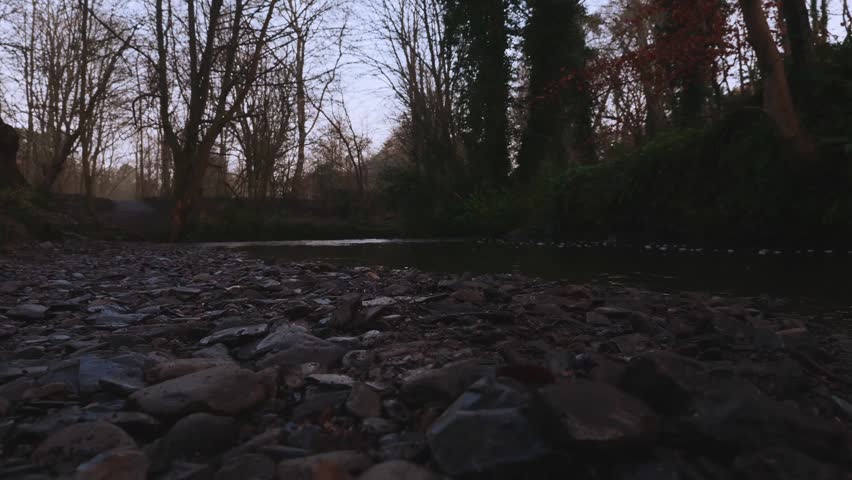 Moody forest park features a calm stream winding through ancient trees and rocky shores during the dim twilight light of a cold winter evening in a secluded natural wilderness area
