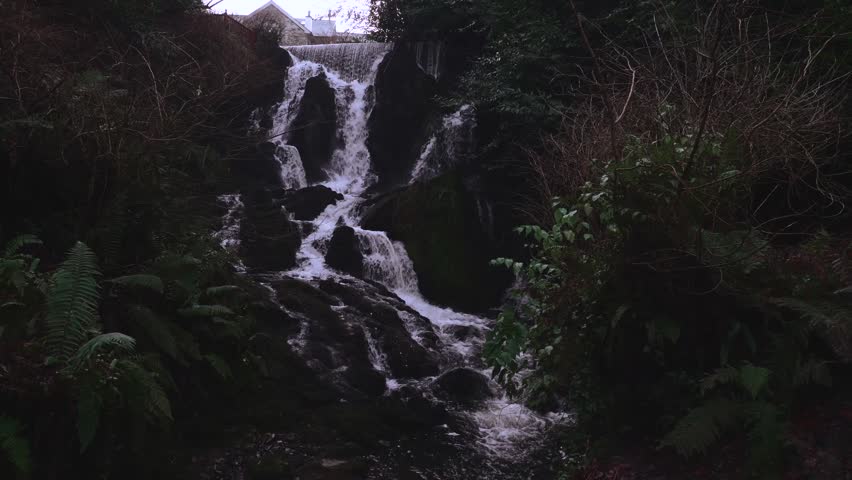 Moody Forest Park featuring a picturesque waterfall tumbling over dark jagged rocks surrounded by wild ferns and dense forest vegetation in a peaceful woodland landscape