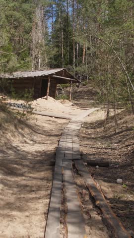 Plank Path Leading To Rustic Cabin Surrounded By Pine Forest Dry Sandy Ground, Weathered Shed Roof, Scattered Logs, Soft Sunlight Filtering Through Canopy, Peaceful Forager Atmosphere