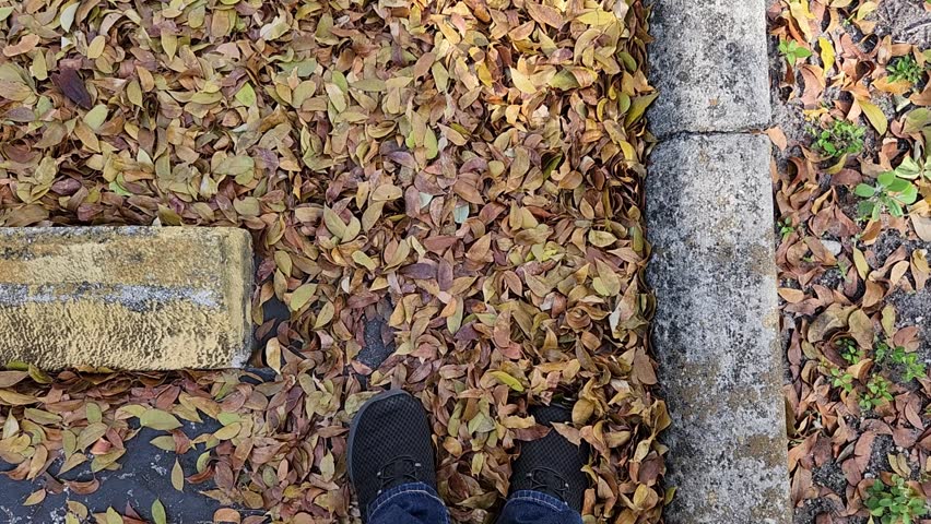 First Person Walking in Black Sneakers on Yellow Autumn Leaves