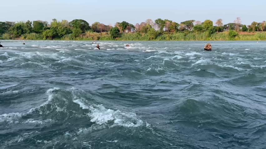 powerful river rapids with white water ripples flowing through lush green forest landscape. Scenic natural stream movement, fresh water current, and beautiful outdoor environment in summer