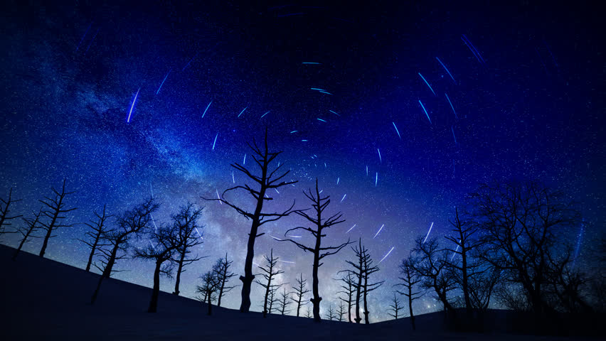 Desert night view, star trails, Milky Way