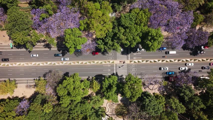 Top down view of urban avenue in Mexico City during sunny weather