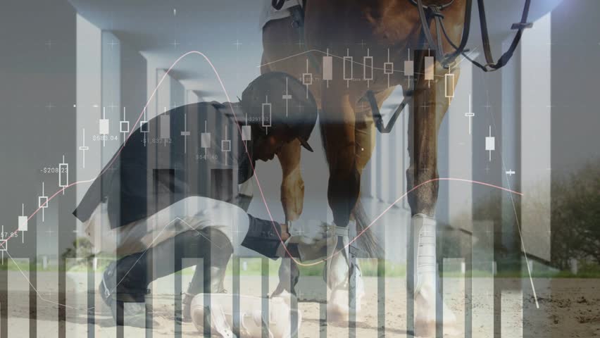 Rider kneeling beside horse fastening leg boot before ride, with shifting finance charts overlaying. Equestrian, equine, groom, hoofcare, stable, arena, daylight