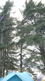 Vertical video: Camera tilting, AR rings sweeping canopy and tent, revealing gear for camp status. Outdoor, forest, shelter, pack, hud, ui, vertical video - Powered by Shutterstock - Get 15% off with code: PIKWIZARD15