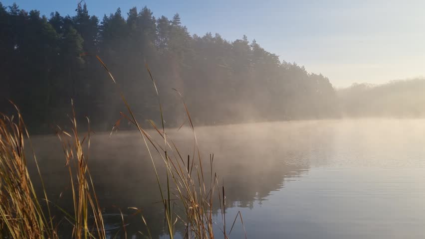 Morning sunrise over calm river with light fog drifting above water near forest shoreline