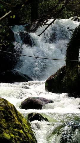 Vertical view of a peaceful forest waterfall cascading over mossy rocks.