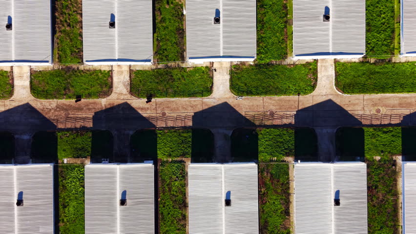 White buildings with distinct triangular shadows on a concrete road between green plots. Aerial symmetry of industrial buildings and shadows.