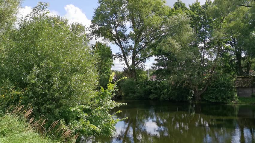 Lush trees and vibrant greenery are reflected in the still water of a peaceful pond, creating a serene atmosphere in a natural landscape
