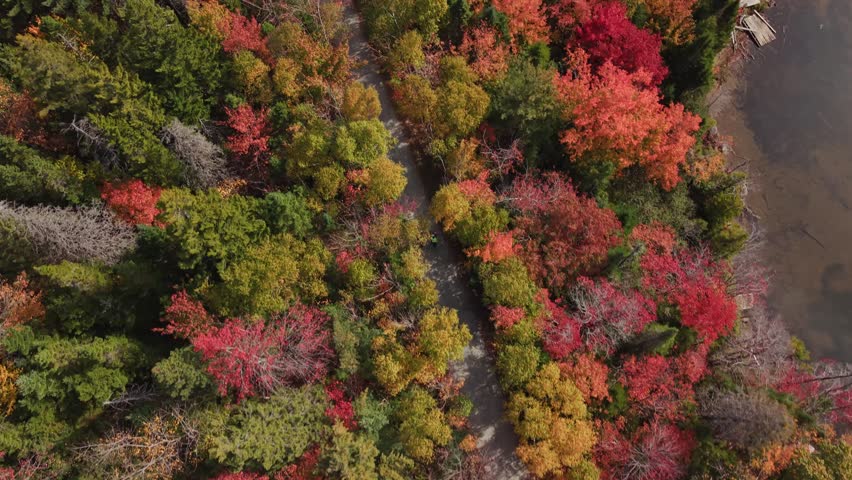 Drone View Of Two Cyclists On Gravel Path In Autumn Park By Lake Nova Scotia Canada Bright Fall Colors Outdoor Activity Scenic Landscape 4K