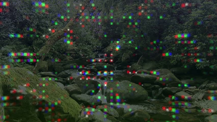 Stream flowing over moss rocks while RGB grid appearing after glitch, obscuring water for review. Creek, boulder, canopy, shade, overcast, tranquil, outdoors