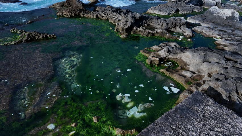Waves Washing Over Green Algae Rock Shelf by the Sea