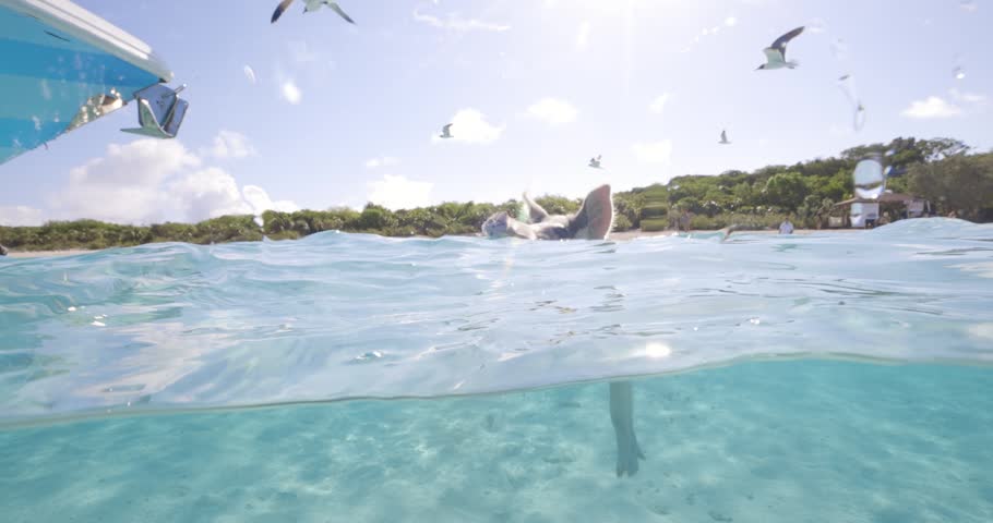 A pig swims underwater in clear turquoise sea with seabirds flying overhead near a boat.