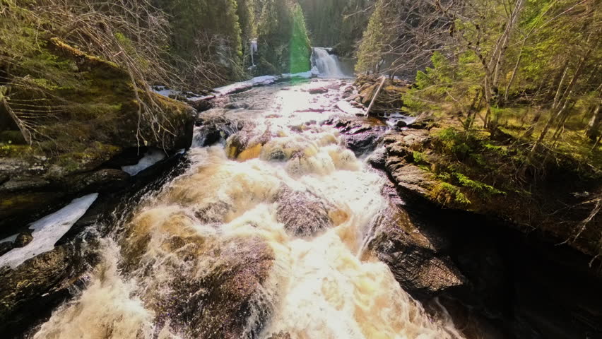 Powerful forest rapids flowing between dark rock banks surrounded by trees in northern Europe.