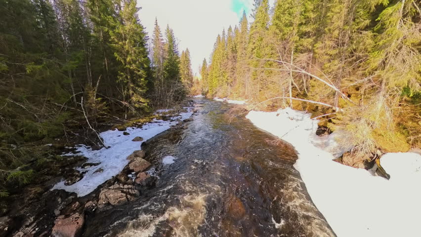 River flowing through a snowy forest landscape with dark water and surrounding evergreen trees in northern Europe.