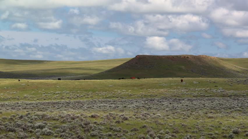 Nebraska prairie land with grazing cattle under cloudy sky, USA