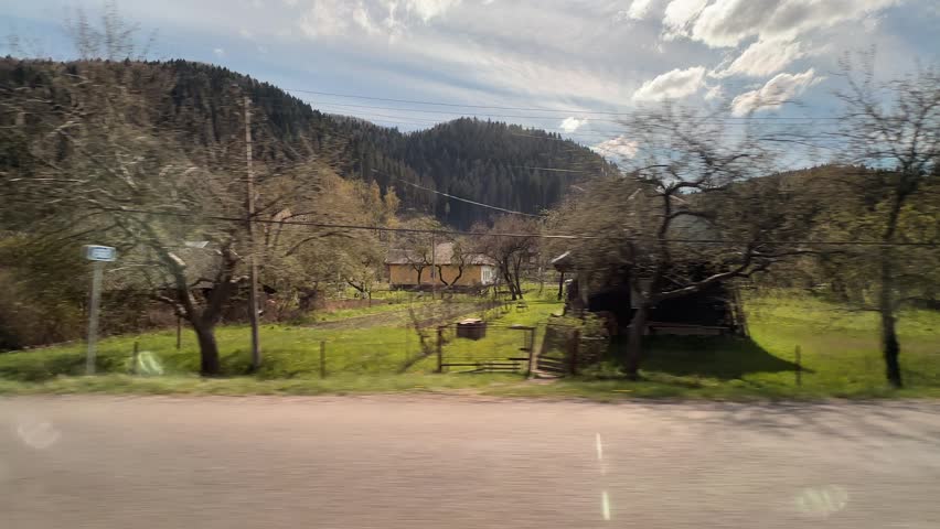 Exploring trees and hills on a sunny day in nature with clear skies and green grass growing along a roadside