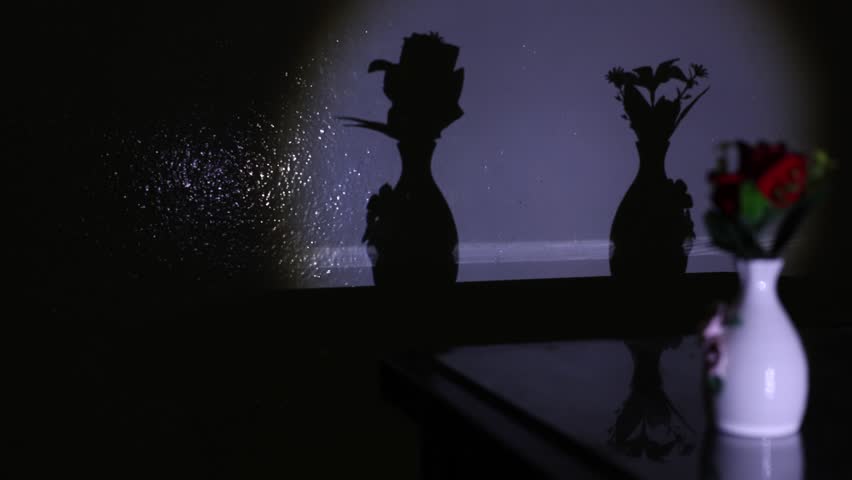 The Fragility of Stability - Conceptual Allegorical 4K Clip. Dramatic swaying shadows of flower vases creating sense of tremor or earthquake. A visual metaphor for life's unexpected tremors and the shaking of a peaceful foundation.