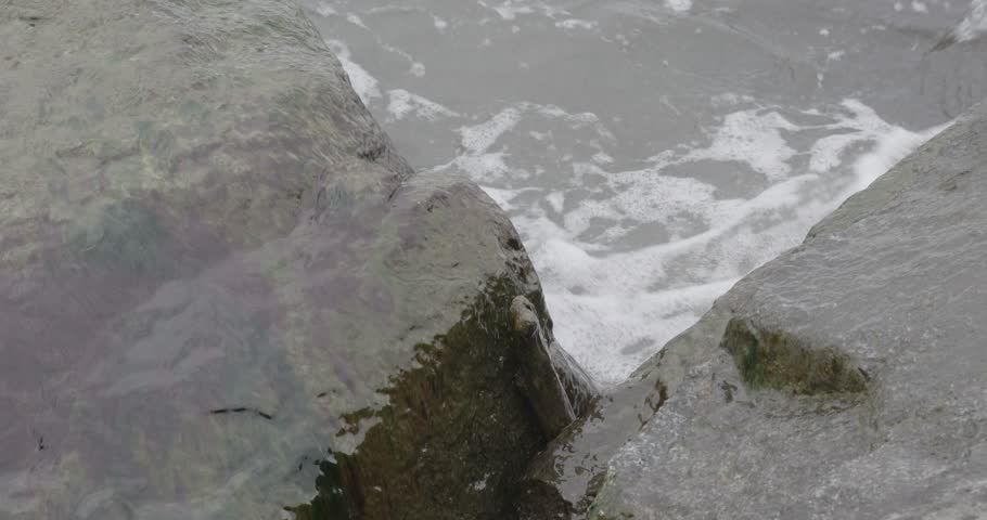 Sea Waves Crashing Over Mossy Coastal Rocks