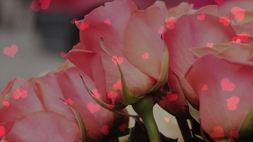Romantic Valentine’s Day animation of floating red hearts gently drifting above a soft pink rose bouquet on a still life background. Perfect for love-themed greetings, wedding videos, social media posts, or romantic advertisements.
