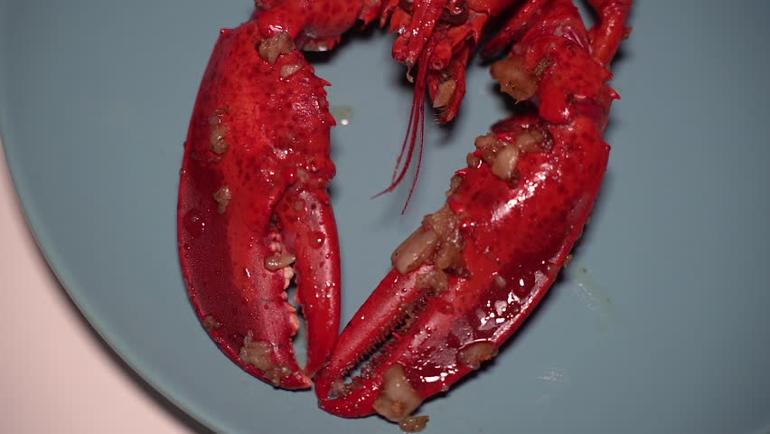 Cooked lobster on plate with seafood tools.
