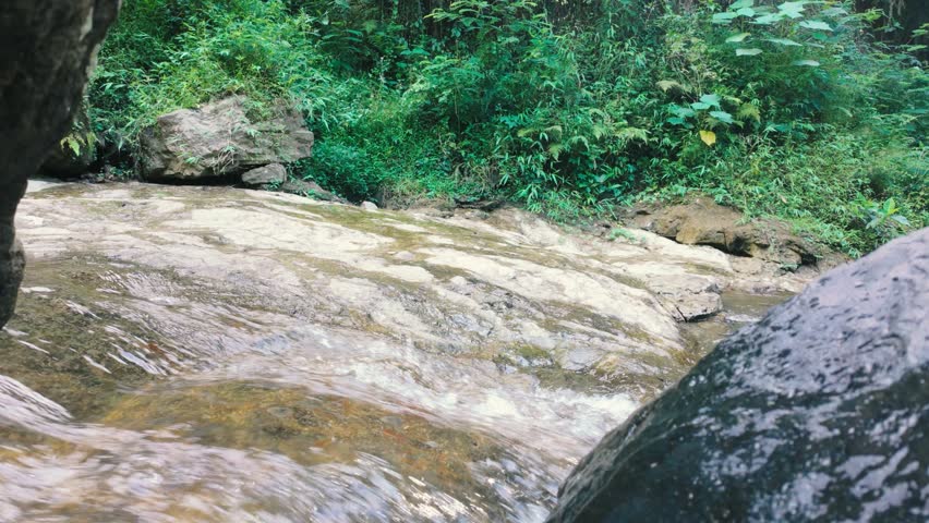 Flowing Stream Surrounded by Lush Greenery and Boulders in a Serene Natural Landscape