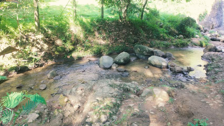 Gentle Stream Flowing Through Lush Green Forest Surrounded by Rocks and Sunlight in Nature