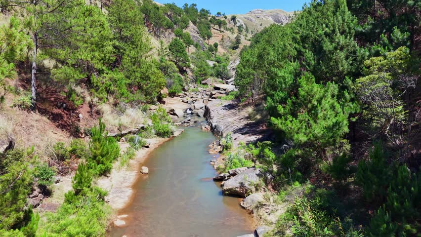 Serene mountain stream flows through rocky terrain, surrounded by lush pine trees and green shrubs. The water gently moves over stones, reflecting the bright blue sky above