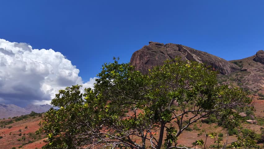 Large rocky hill rises under bright blue sky. White clouds drift beside the peak. Green trees stand in foreground on red earth. The scene feels calm and natural. Great for travel, nature