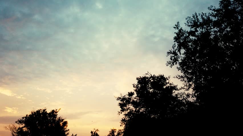 Beautiful sunset sky with silhouettes of trees