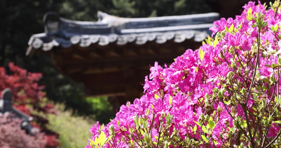Hanok, a traditional garden in Gapyeon, Gyeonggi-do, South Korea