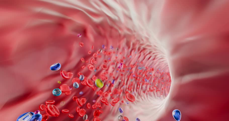 Blood flow with vitamins and minerals, nutrient transport for immune system support and energy metabolism, 3D Rendering
