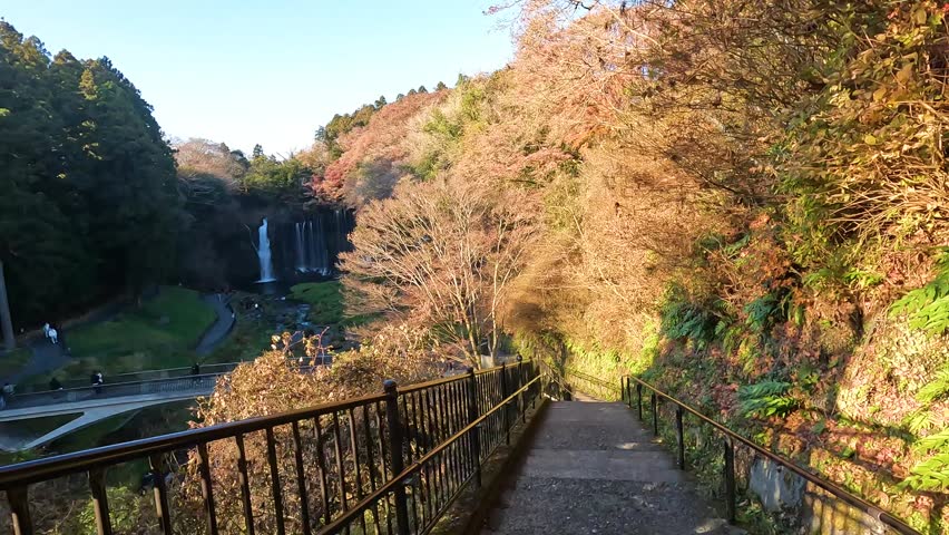 Landscape Shiraito Falls on Autumn Season  is a waterfall where melting snow from Mt. Fuji springs from a cliff and tumbles down along the curved cliff. Red leaves and Snow Mountain View in Fujinomiya Shizuoka .Dolly in Travel Footage 