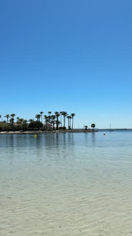 This video captures the calm beauty of Port d Alcudia Mallorca with clear shallow Mediterranean water gently moving over a sandy seabed. Palm trees line the quiet shoreline while the bright blue sky reflects on the surface. Small boats rest in the distance creating a peaceful summer atmosphere. The scene highlights a relaxing coastal setting perfect for travel, holiday and nature themes in the Balearic Islands Spain