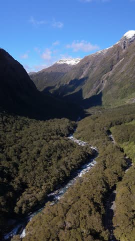 Vertical Fiordland Snow Mountain Beech Forest NZ 4K