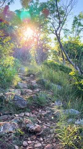 VERTICAL, LENS FLARE: Woman walks along a rocky coastal trail with her mixed breed shepherd dog on Krk Island, Croatia. Relaxed summer walk above Adriatic coast, surrounded by grass, shrubs and trees.