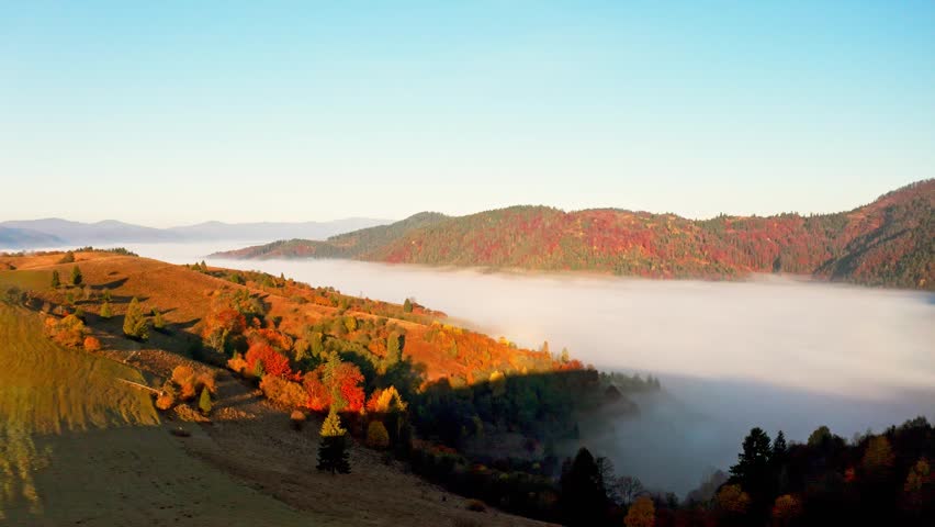 Mountain hills covered with colorful forests and thick fog