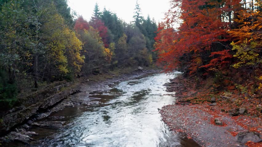 River rapids near mountain foothill with terracotta forests