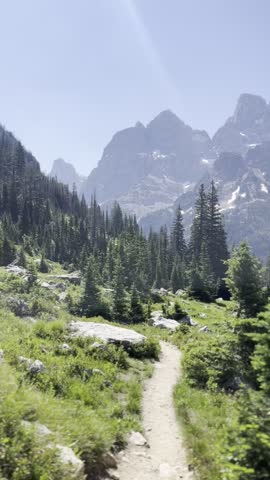 "Panoramic View of Grand Teton National Park Hiking Trail with Majestic Snow-Capped Mountains and Pine Forest Under Clear Blue Sky"