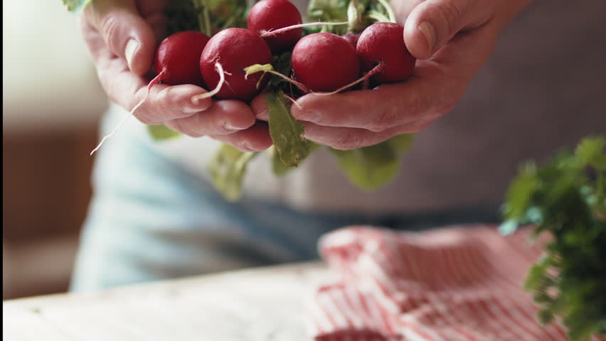 Close-up of male hands holding a bunch of fresh organic red radishes with green leaves, 4k footage.