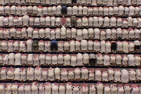 RIYADH, SAUDI ARABIA - OCTOBER 01, 2002: Overhead view of university mosque. Hundreds of men dressed in white, with red and white checked keffiyeh, standing and bowing in unison.