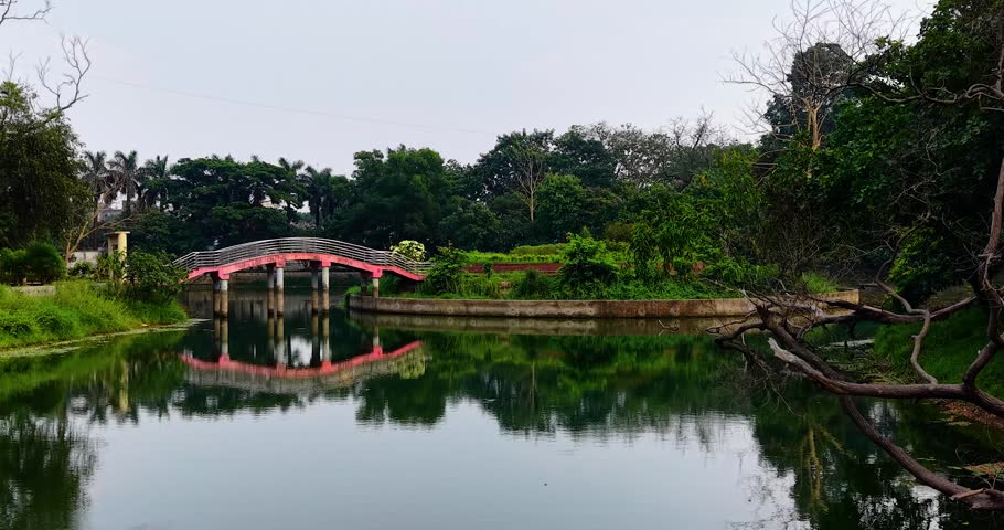 Red bridge over a serene pond surrounded by lush greenery and trees water tree green