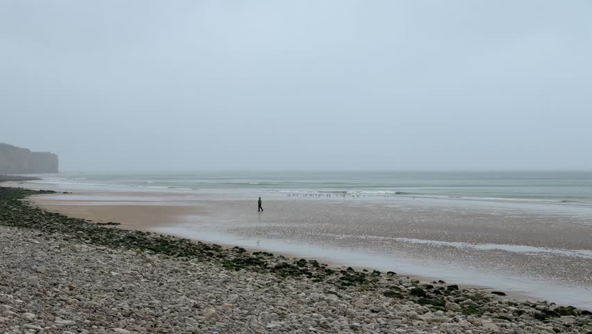 A person walks on the sand at Omaha Beach while birds fly above the waves. The gray sky adds to the quiet moment by the water as the tide moves in and out.