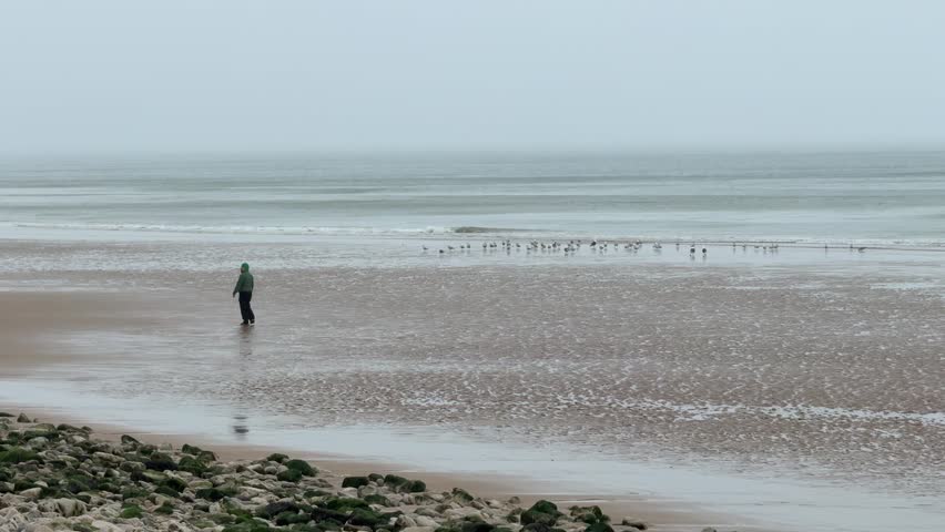 A person walks along the shoreline of Omaha Beach. Birds are seen in the distance on the wet sand. The weather is misty and the tide is low, creating a quiet atmosphere.